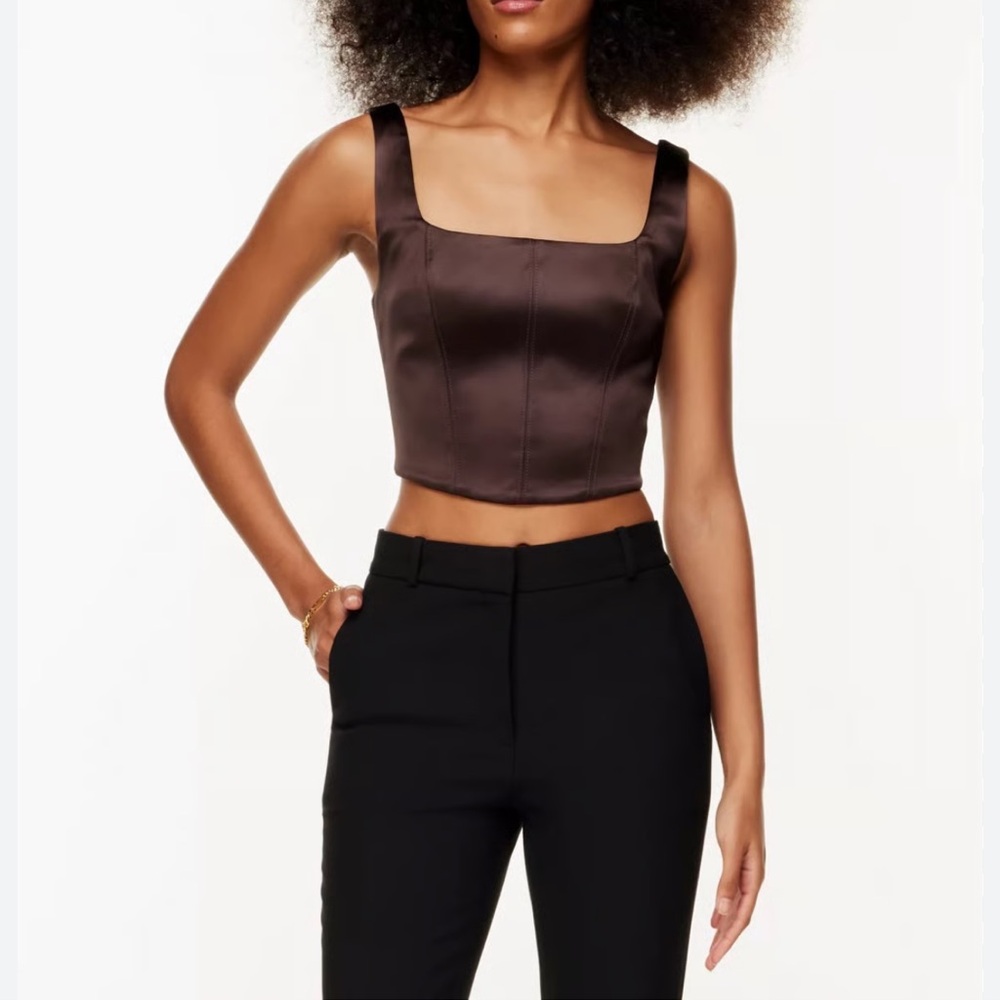 Aritzia TEN by Babaton Dark Brown Satin Crop Top